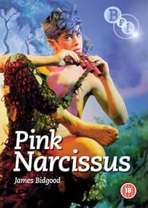 Pink Narcissus [1971] [DVD]