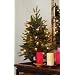 GKI Bethlehem Lighting 2-Foot Green River Spruce Christmas Tree Pre-lit with 35 Clear Mini   on a Plastic Tree Stand