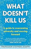 What doesn't kill us : a guide to overcoming adversity and moving forward