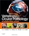 Veterinary Ocular Pathology: A Comparative Review