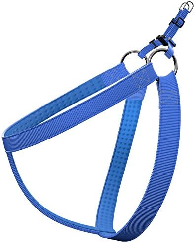 Premium Quality Dog Harness, FREE MATCHING LEAD &amp; "Dog Comfort &amp; Protection System", Non-Pull For Small to Medium Breeds, Easy Step-In Fitting, Adjustable, Padded, Strong, Flexible (Small, Blue)