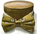 Missouri Tigers Pre-Tied Bowtie - Gold