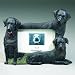 Black Lab 4 x 6-inch Handpainted Picture Frame
