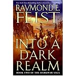 Into a Dark Realm (The Darkwar Saga, Book 2) book cover