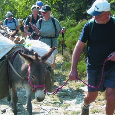 Produkt-Bild: Eselwandern mit Kindern