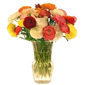 Mini-Ranunculus Flower Bouquet - 30 Stems - Free Fast Shipping - Fresh Cut from California