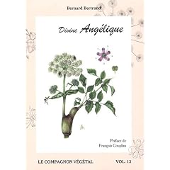 Divine ang�lique