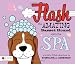 Flash the Amazing Basset Hound Visits the Spa