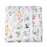 エイデンアンドアネイ / Aden+Anais DREAM BLANKET並行輸入品 (paper tales)