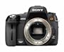 Sony Alpha DSLRA500 12.3MP Digital SLR Camera (Body only)