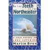In the Teeth of the Northeaster: A Solo Voyage on Lake Superior