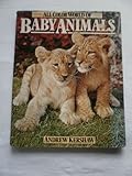 All colour world of baby animals