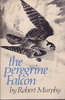 The Peregrine Falcon