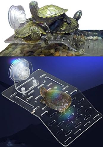 SPJ: Turtle Reptiles Amphibians Aquarium Pier Sunbathing Platform Slope