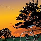 TOKYO BOSSA NOVA~por-do-sol~