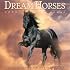 Dream Horses Calendar 2008