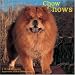 Chow Chows 2009 Wall Calendar