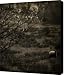 the countryside Canvas Print / Canvas Art - Artist Angel Tarantella