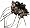 Dark Brown Leopard