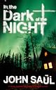 In the Dark of the Night: A Novel
