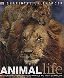 Animal life