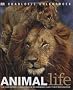 Animal Life: The Definitive Visual Guide to Animals and Their Behaviour