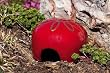 Glazed Ceramic Sun Toad House