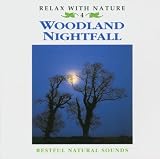 Woodland Nightfall