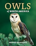 Owls of North America