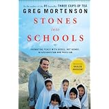 Stones into Schools