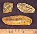 Tumbled Copal "Columbian Amber" Extra Polish (1" - 1-1/2") - 1pc.
