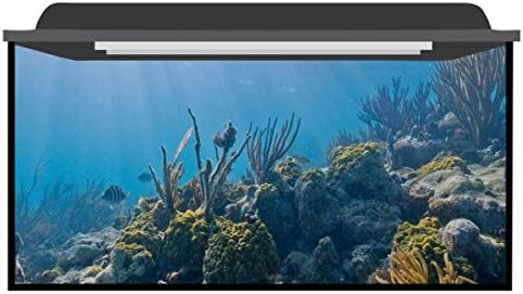 Deep Blue Themes Reef Sun Aquarium Background (66-120 Gallons (50Wx30H))