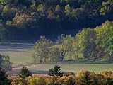 Aerial View of Forest in Cades Cove, Great Smoky Mountains National Park, Tennessee, USA Photographic Poster Print by Adam Jones, 12x16
