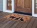 MILLIARD Cat Printed Coir Outdoor 'Welcome' Doormat 18in.x30in.