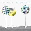 Royal Teeth - Live in Concert