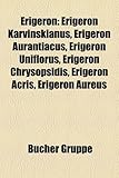 Erigeron: Erigeron Karvinskianus, Erigeron Aurantiacus, Erigeron Uniflorus, Erigeron Chrysopsidis, Erigeron Acris, Erigeron Aure-