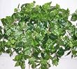 Large Mix Greenery Ledge Garden (#3)