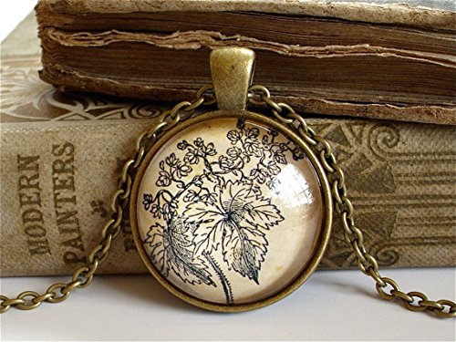 Beer Hops Necklace - Antique Botanical Print Pendant w/ Chain in Brass - Home Brew - Craft Beer