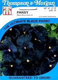 Thompson & Morgan 7075 Pansy 'Black Moon' F1 Hybrid Seed Packet