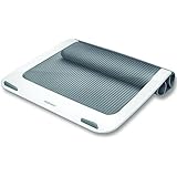 Fellowes I-Spire Series Laptop Lapdesk, White/Gray (9381201)