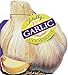 Totally Garlic Cookbook (Totally Cookbooks Series)