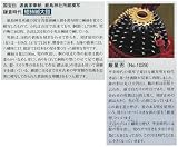 五月人形 久月 鎧 鎧飾り 早乙女義隆作 1/2本仕立 赤絲縅大鎧
