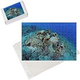 Photo Jigsaw Puzzle of Etruscan Amphora in a protected archaeological area on the sea bed in Antalya from Ardea Wildlife Pets