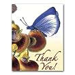 Botanical Butterfly III - Thank You Gift Enclosure Cards (set of 12)
