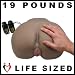 Perfect Pussy + Ass Masturbator Cinnamon Throbbing + Vibrating