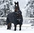Rambo XL Neck Cover for Turnout