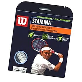 Wilson StaminaTennis String
