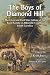Boys of Diamond Hill: The Lives and Civil War Letters of the Boyd Family of Abbeville County, South Carolina Image of Boys of Diamond Hill: The Lives and Civil War Letters of the Boyd Family of Abbeville County, South Carolina