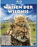 Waisen der Wildnis [Blu-ray] - Mit Olivia Mokiejewski