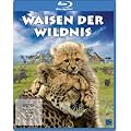 Waisen der Wildnis [Blu-ray]
